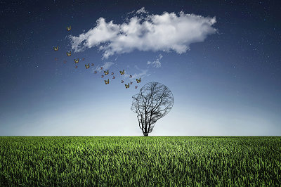 中央財經(jīng)大學在職研究生