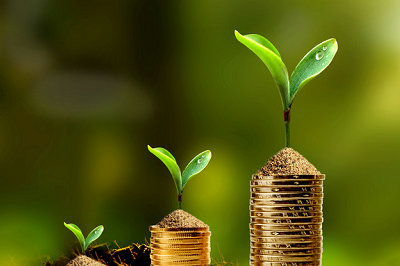 中央財經(jīng)大學在職研究生