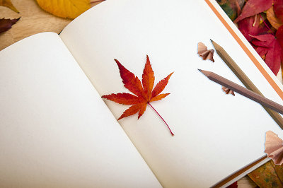 中央財經(jīng)大學(xué)在職研究生學(xué)費 中央財經(jīng)大學(xué)在職研究生學(xué)費