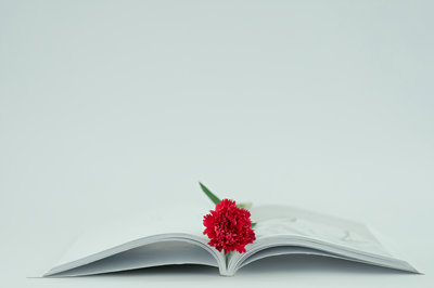 中央財(cái)經(jīng)大學(xué)在職研究生 中央財(cái)經(jīng)大學(xué)在職研究生