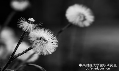 想上中央財經(jīng)大學(xué)在職研究生去哪里報名？