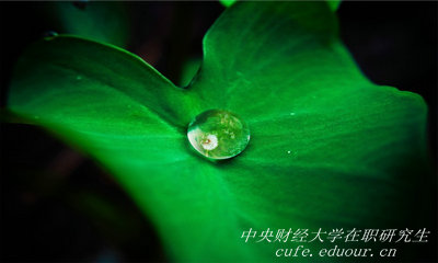 報考中央財經(jīng)大學(xué)在職研究生能升職嗎？