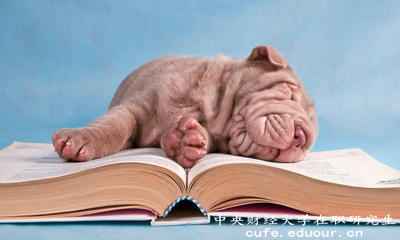 公務(wù)員有必要報考中央財經(jīng)大學(xué)雙證在職研究生嗎？