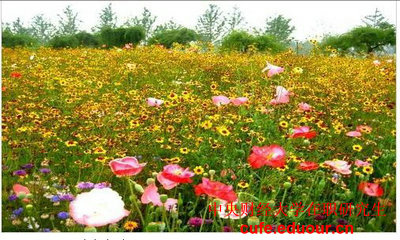 2018年中央財經(jīng)大學(xué)投資學(xué)在職研究生招生嗎？