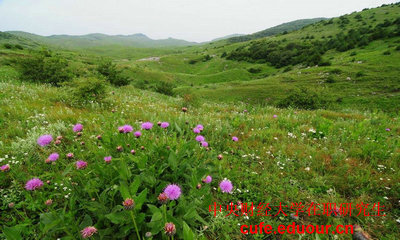 中國財(cái)經(jīng)大學(xué)在職研究生可以不考試么？