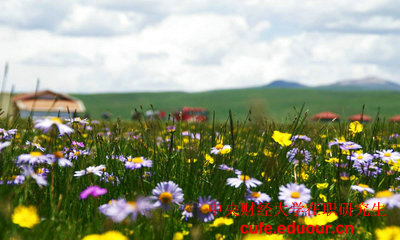 報(bào)考央財(cái)在職研究生學(xué)位證沒有可以嗎？