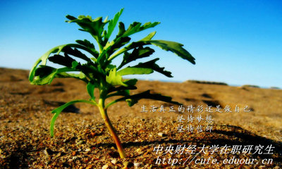 中央財經(jīng)大學在職研究生同等學力申碩有哪些優(yōu)勢？